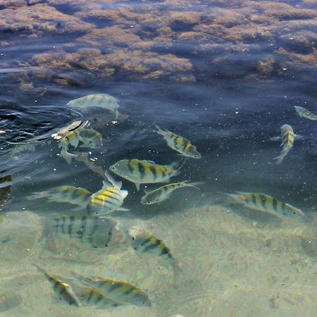 Pousada Casanossa Boipeba Island Esterno foto
