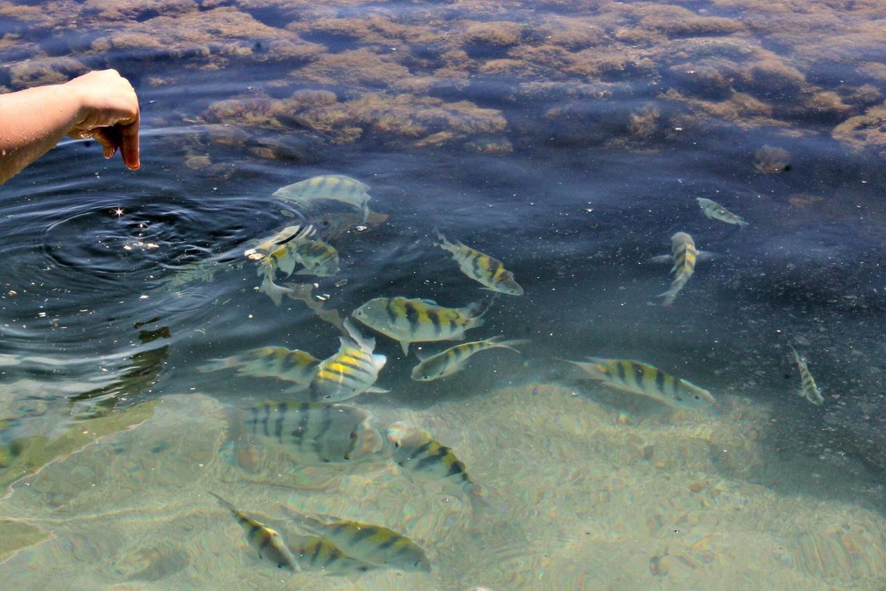 Pousada Casanossa Boipeba Island Esterno foto
