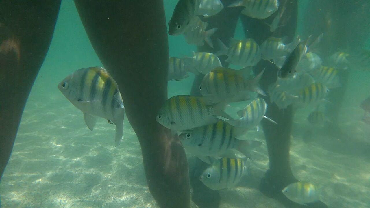 Pousada Casanossa Boipeba Island Esterno foto